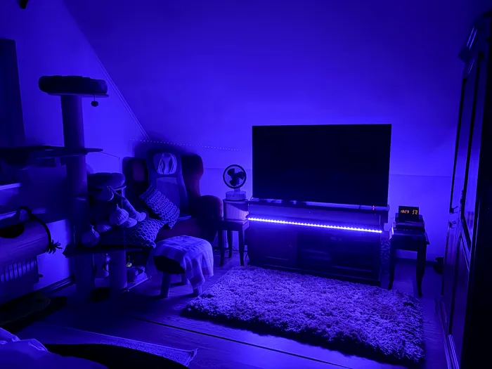 Chiar și o cameră aglomerată prinde viață cu Hue, în orice moment al zilei