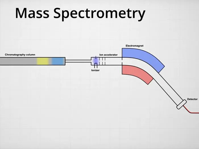Structura spectrometriei de masă