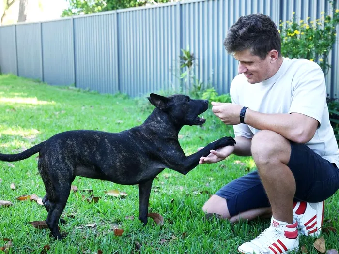 Paul Conyngham spune că tratamentul lui Rosie i-a îmbunătățit calitatea vieții.