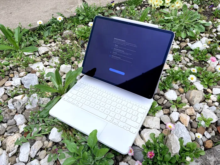 Noul iPad Air se vede impecabil în lumină naturală, chiar și cu fundal negru