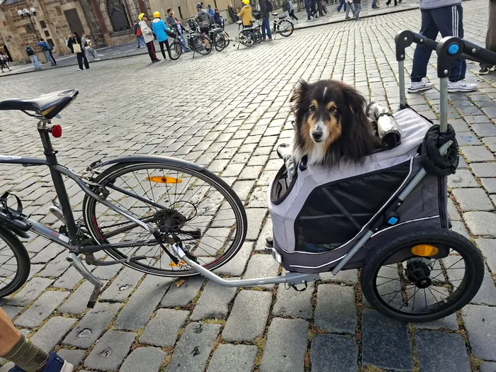 plimbare prin praga foto iulia kelt (185)