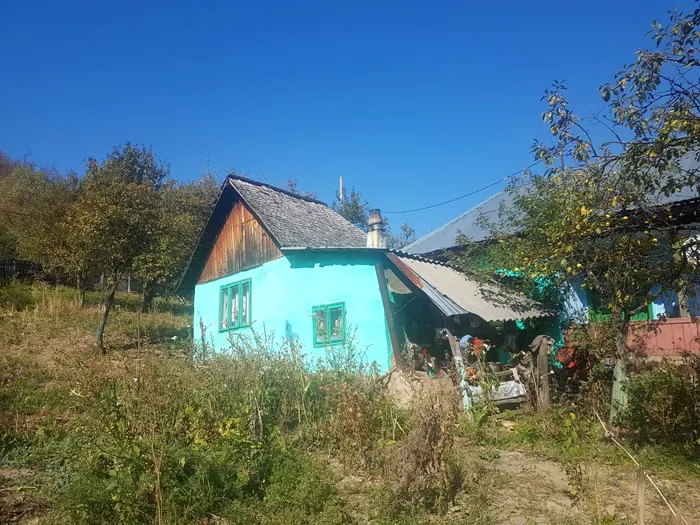 Merge prin pădure și prin frig ca să ajungă la școală. Povestea lui Adrian, copilul care învinge munții de dragul învățăturii