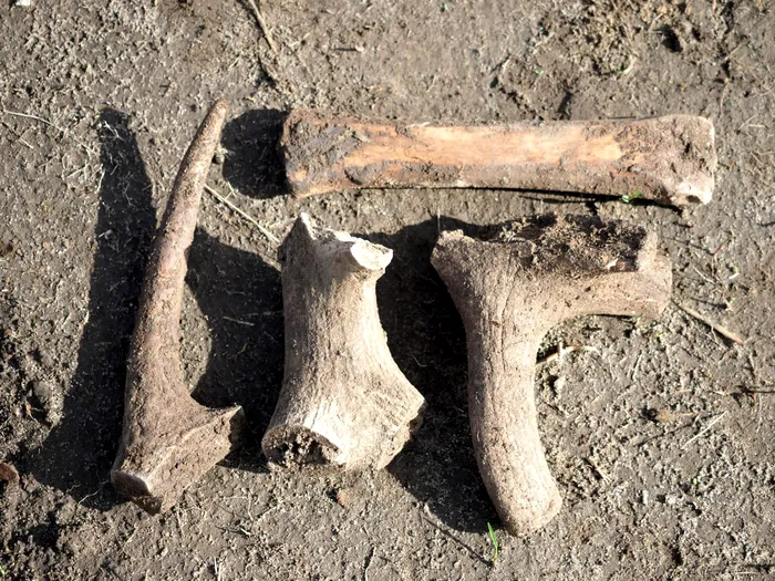 Ce au găsit arheologii la Pericei