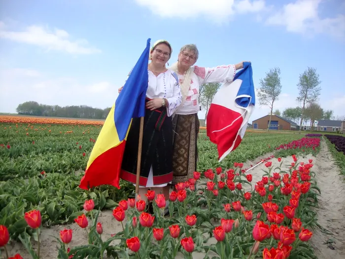 Singura lalea olandeză cu nume românesc. A înflorit pentru prima dată nu departe de București