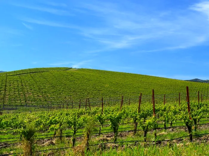 windows xp bliss