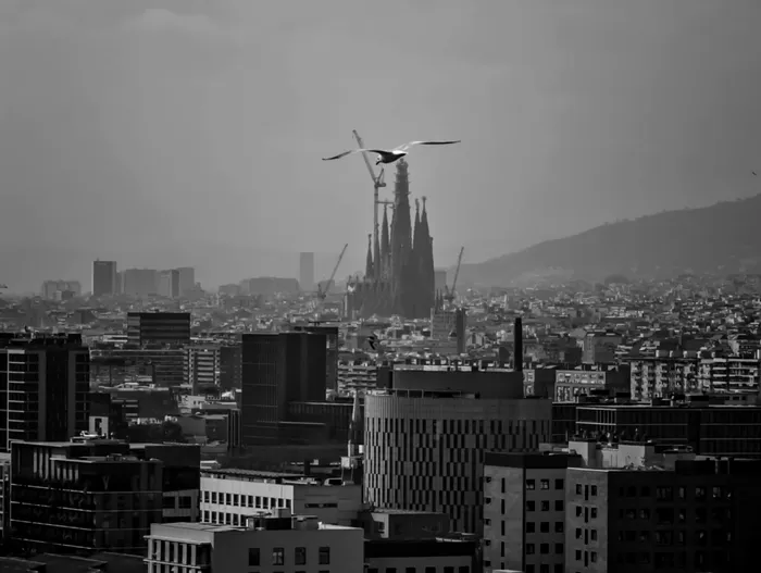 sagrada familia antonio gaudi foto iulia kelt (6)