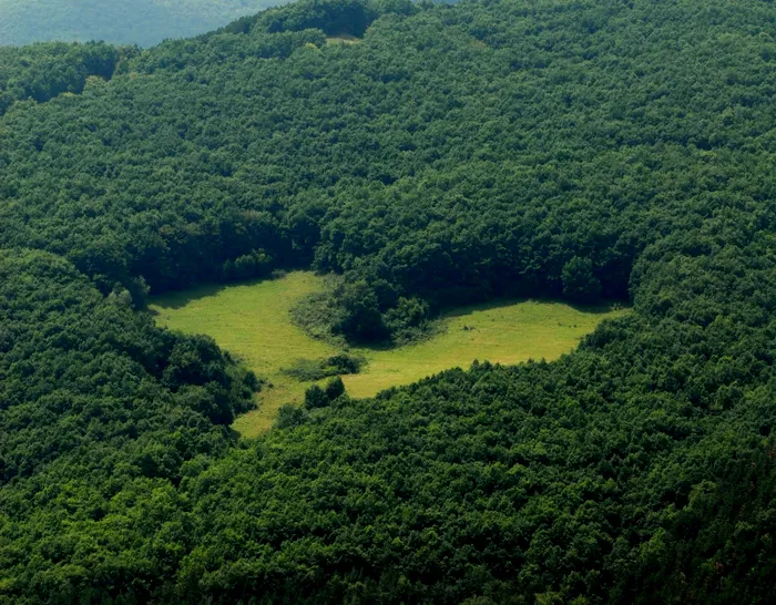 poaia-inimii-unde-se-afla