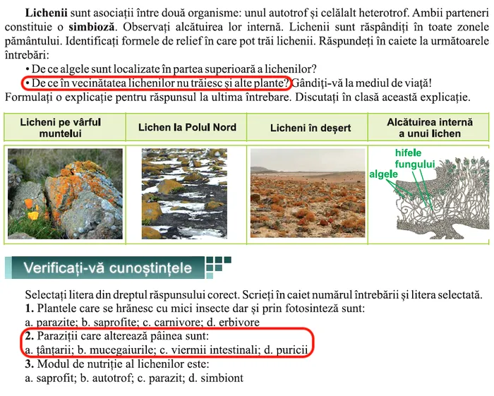image-2018-09-3-22683055-0-confuzie-paraziti-mucegai