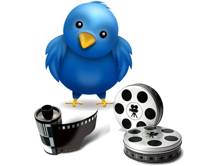 Twitter Video hosting service