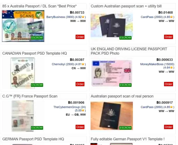 pasaport dark web