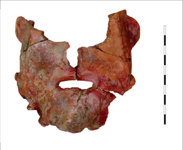 Mască din lut descoperită la Cristeștii