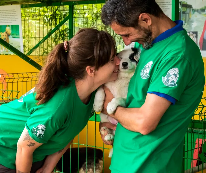 interviu adapostul speranta delia darabana despre animalele nimanui 6