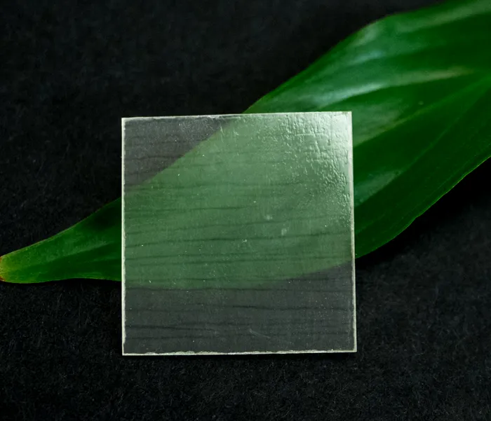 lemn transparent