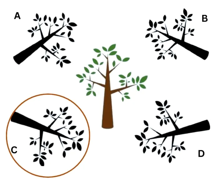 Iată răspunsul corect