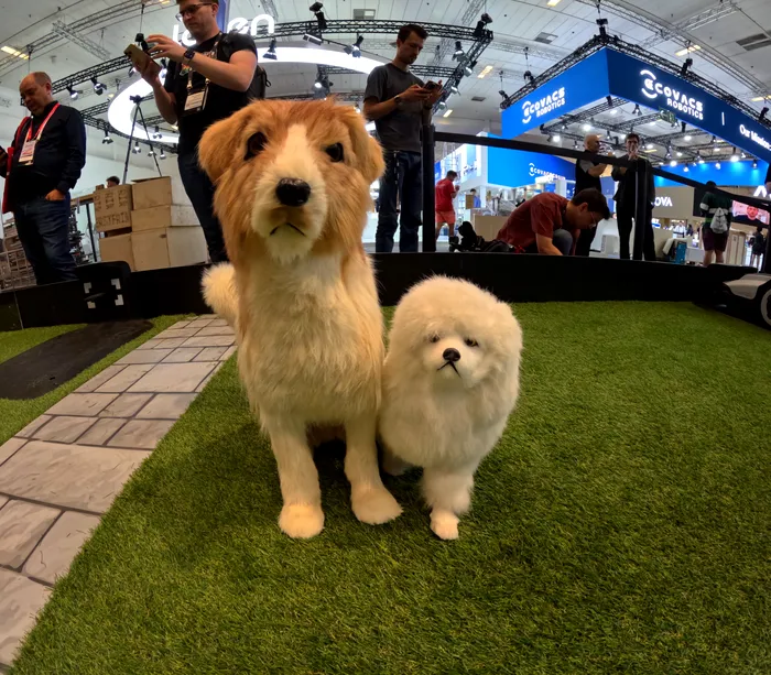 Roborock a lansat mașinile de tuns iarba inteligențe la IFA Berlin 2025 / Foto: Playtech (Iulia Kelt)