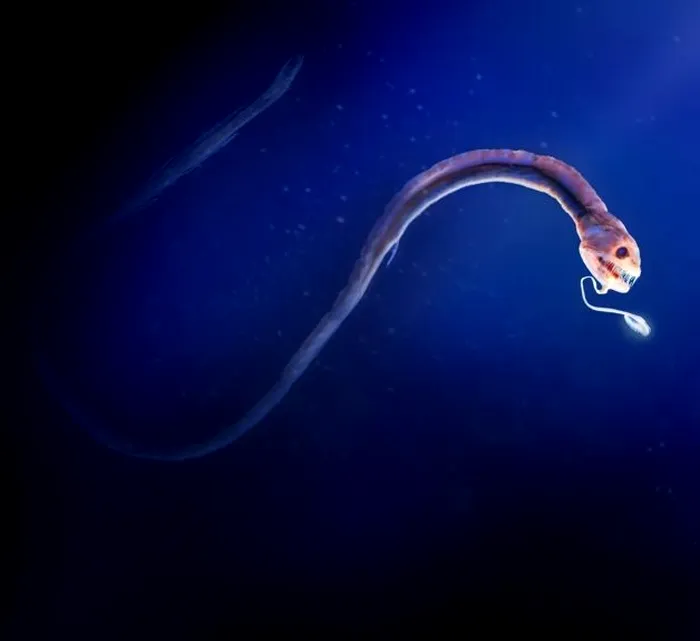 Cel mai adânc loc de pe Pământ este plin de viață. Ce creaturi trăiesc în Groapa Marianelor, la 11000 de metri adâncime