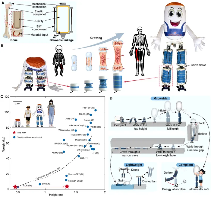Aspectul robotului gonflabil, în variantele sa