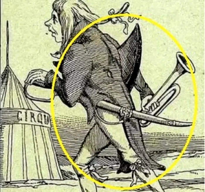 Iată unde se afla fața elefantului