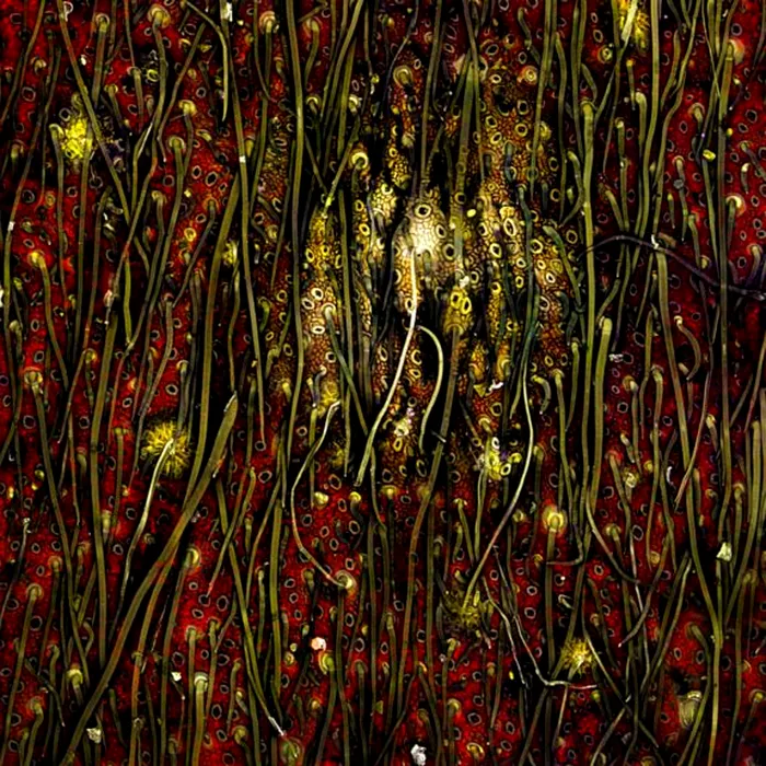 fotografii la microscop 11