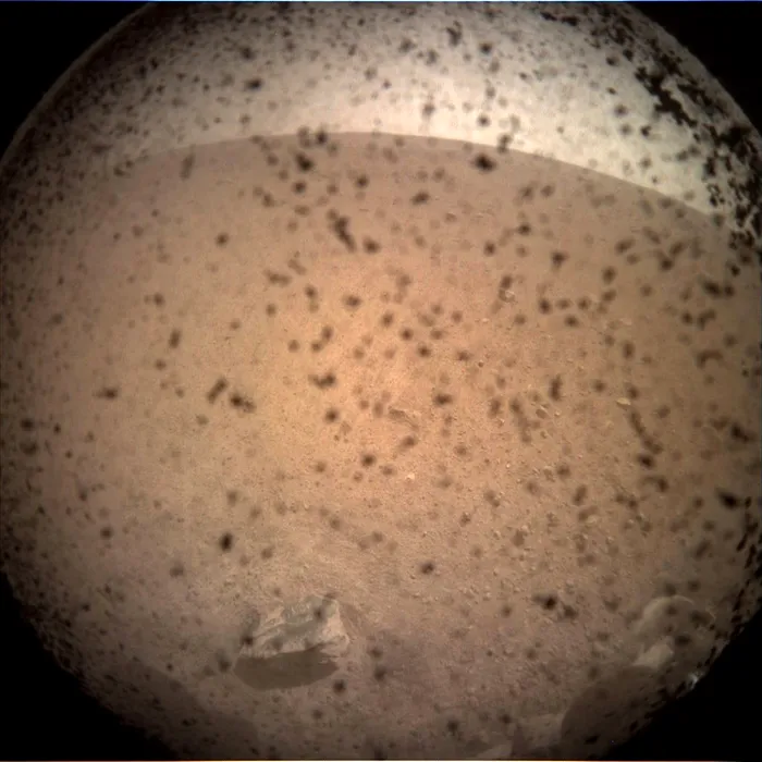 insight first photo