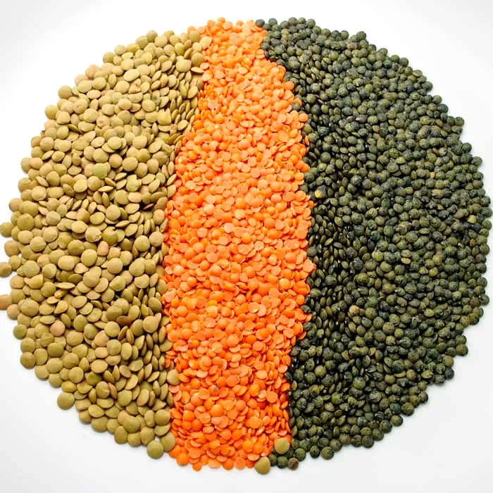 Beneficiile consumului de linte. Ce spun specialiștii? 