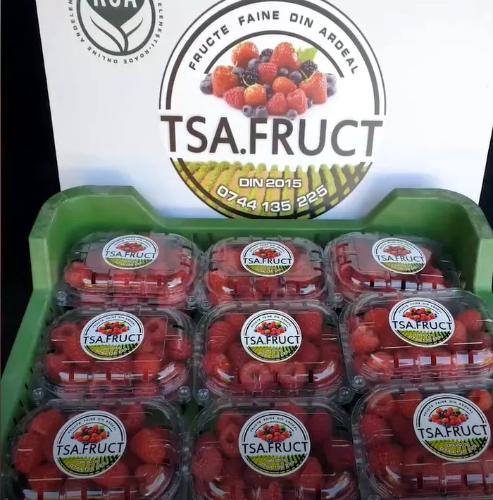 Afacerea banală cu care doi români au dat lovitura