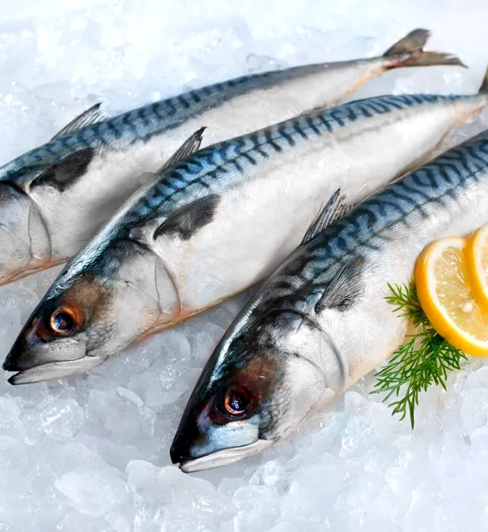 Care este pluralul cuvantului macroul, un peste iubit de romani