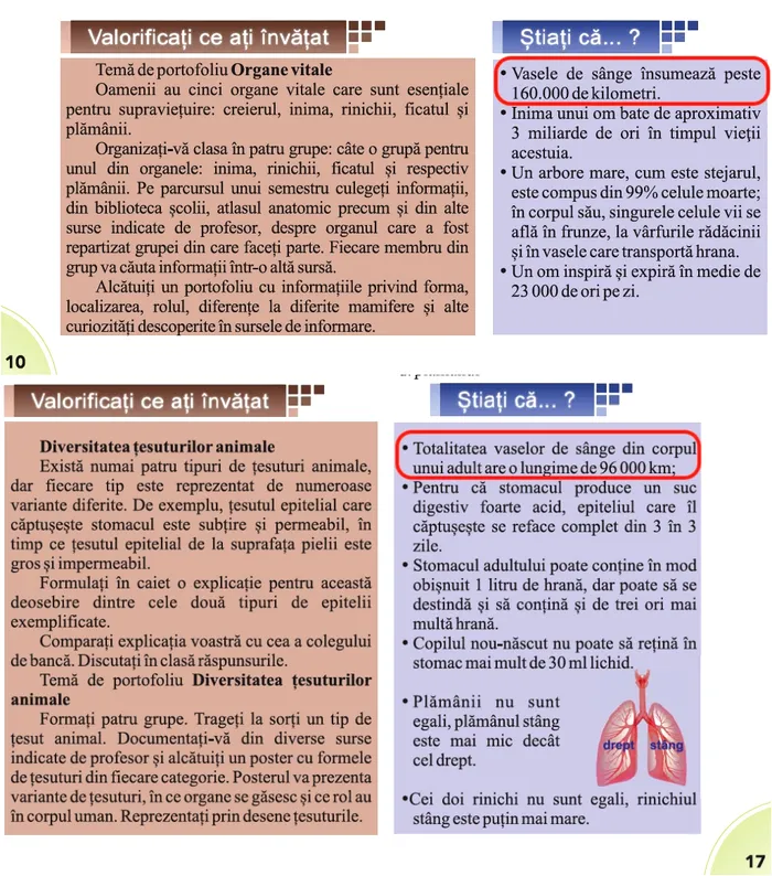 image-2018-09-3-22683044-0-contradictie-paginile-10-17