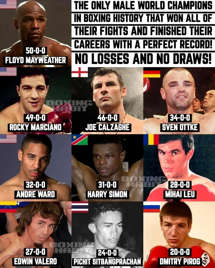 Mihai Leu a fost primul boxer român campion mondial la profesioniști