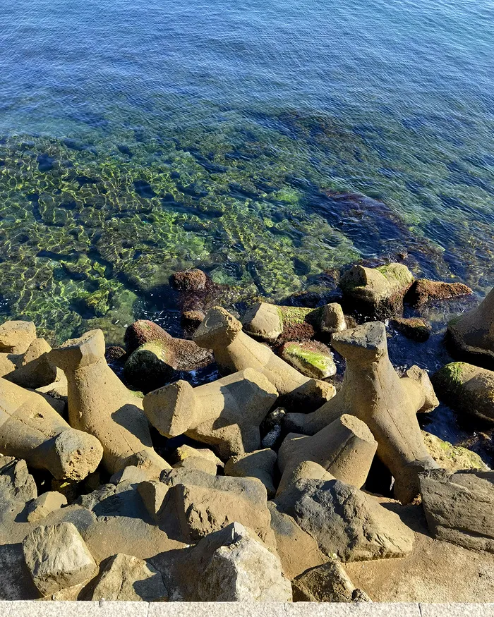 Poza trasa cu Mate 40 Pro