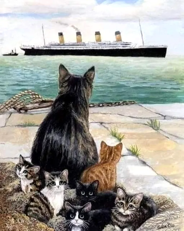 poveste-pisica-jenny-titanic