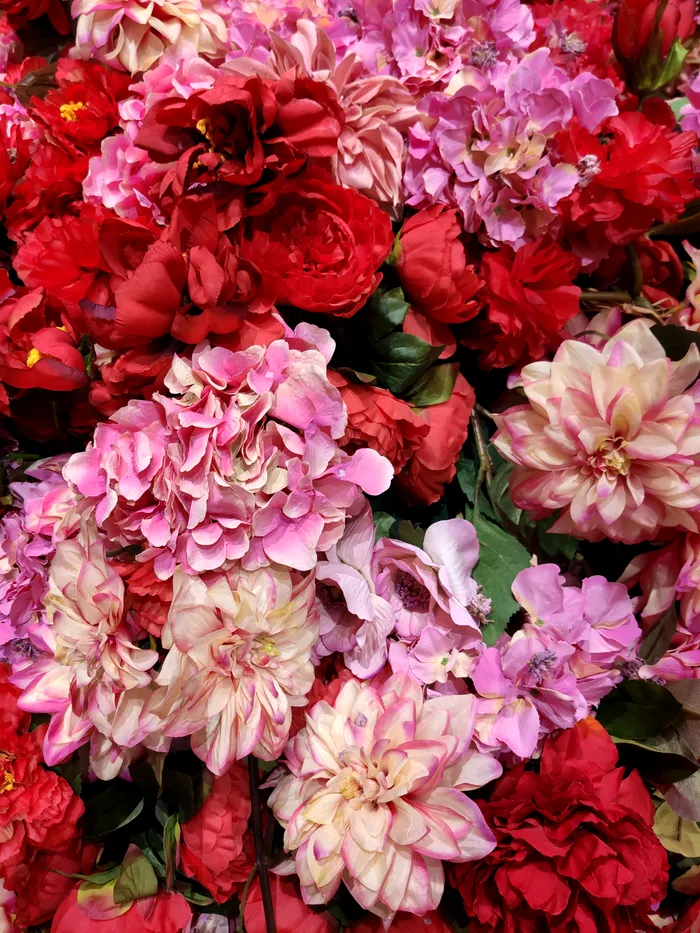 Xiaomi Mi 9 sample 2