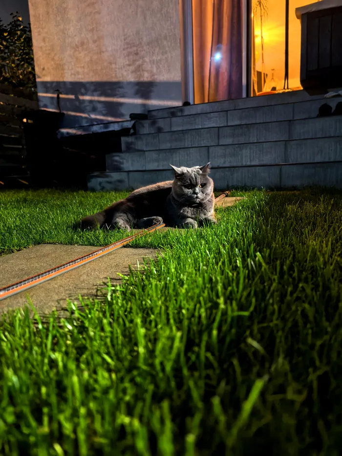 Cu expunere de 3 secunde din mână obții rezultate remarcabile pe întuneric