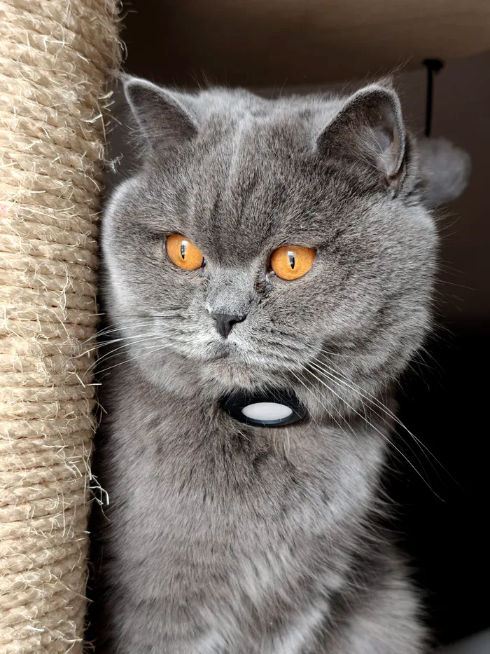 Fotografie portret cu Oppo Find X9 Pro