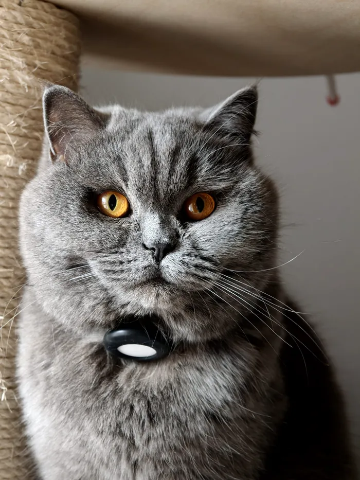 Portret 3X cu Oppo Find X9 Pro