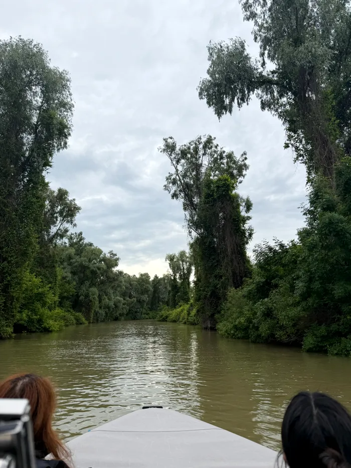 Delta Dunării pare altă planetă, dar una semnificativ mai aproape de casă