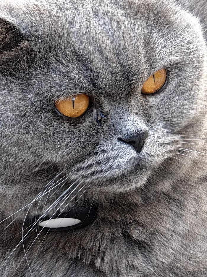 Test foto zoom 20X cu HONOR Magic V6