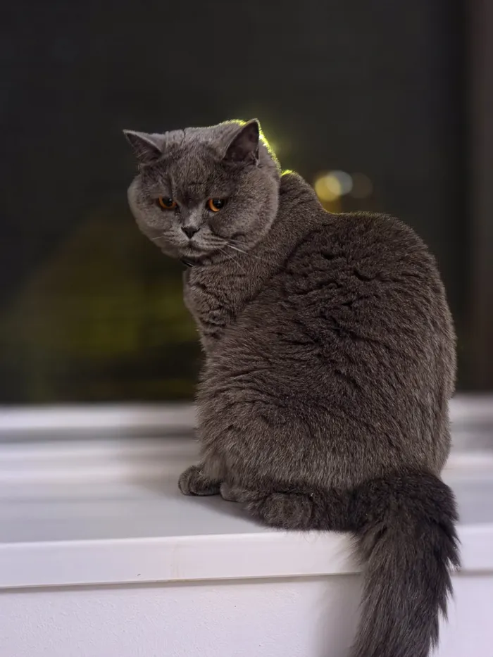 Fotografie portret împotriva unei surse semnificative de lumină