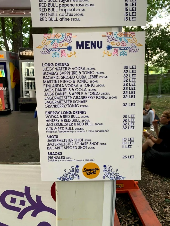 Lista preturi Summer Well 2023