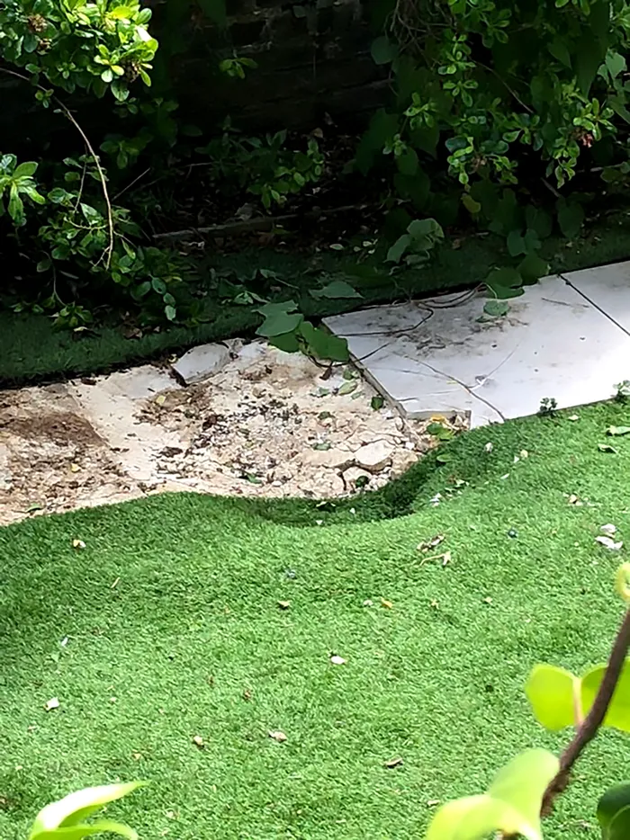 cazut in curte din avion