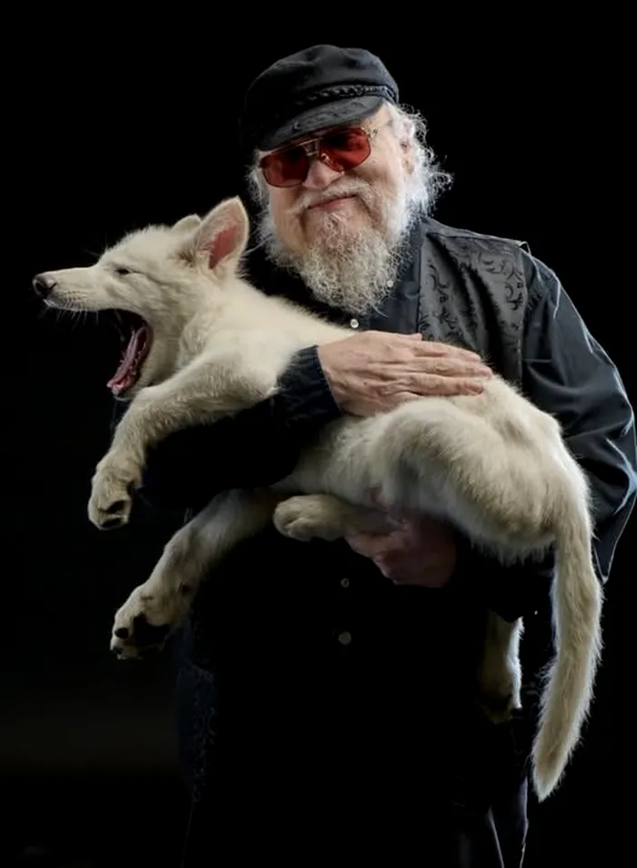 lupul dire tinut de george rr martin