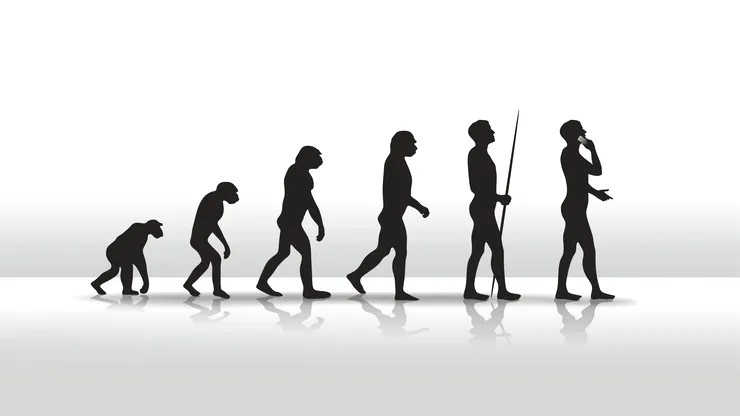 Cel mai longeviv experiment de evoluție continuă din lume a depășit 80.000 de generații