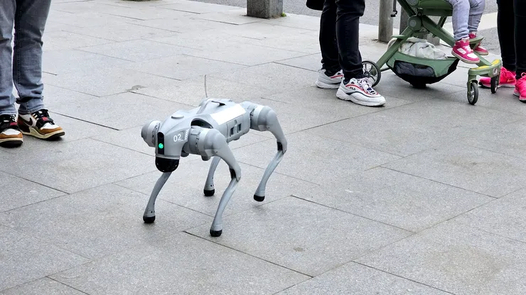 Orașul din România în care câini-robot dotați cu AI patrulează prin centru și „ceartă” cetățenii care nu respectă curățenia