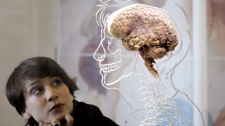 Vârsta la care creierul nu mai produce neuroni, contrazisă de o nouă descoperire. Ce se întâmplă la unii oameni de peste 80 de ani