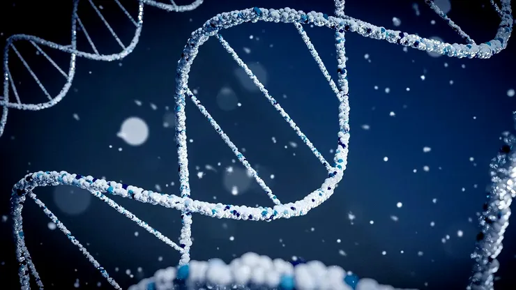 Studiu ADN: populația din epoca bronzului din Marea Britanie provine în mare parte din migranți veniți din estul Europei