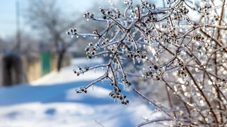 Aer polar la început de noiembrie. Cum se schimbă vremea până la sfârșitul lunii